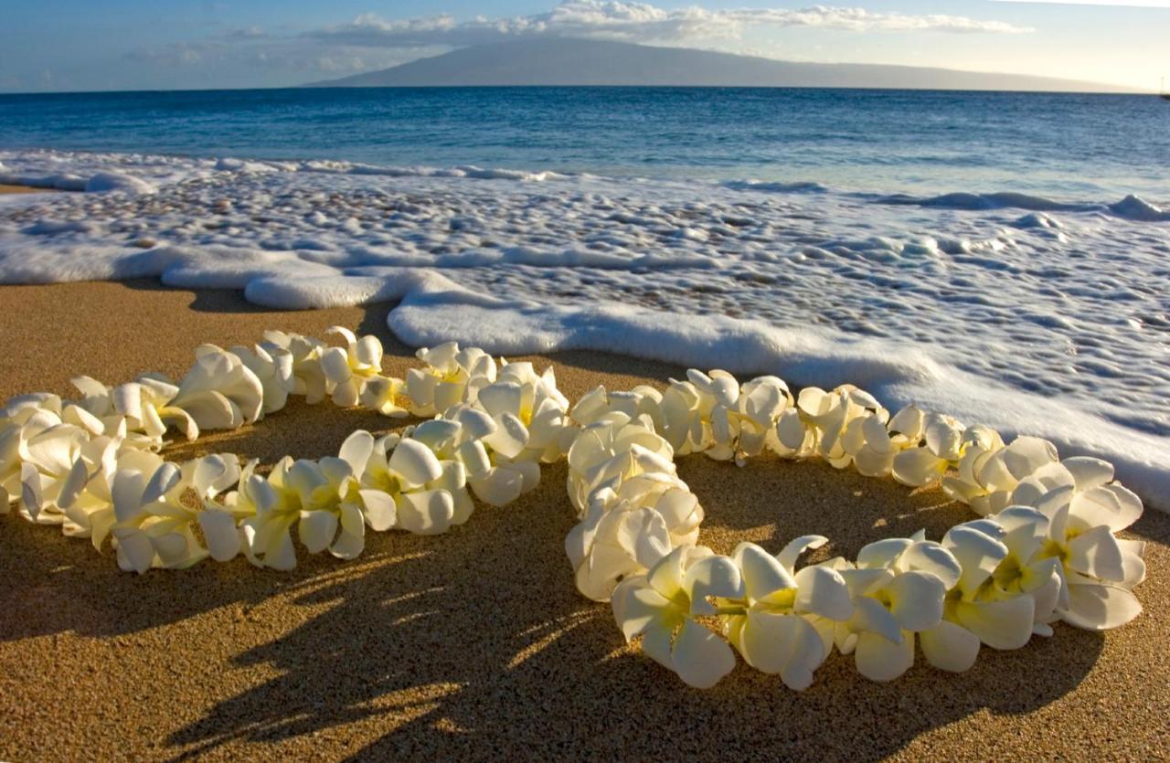 Ocean & Diamond Head View Studio At Waikiki Honolulu Exterior photo